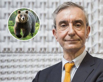 El día que Nelson Castro dijo que el meme del Oso de Putin estaba amaestrado