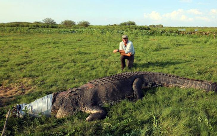 La foto de un cocodrilo gigante abrió un debate
