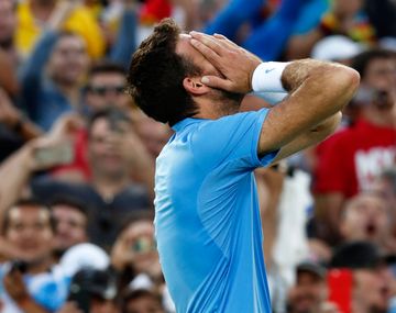 VIDEO: Del Potro se quebró en llanto tras ganarle a Nadal y pasar a la final