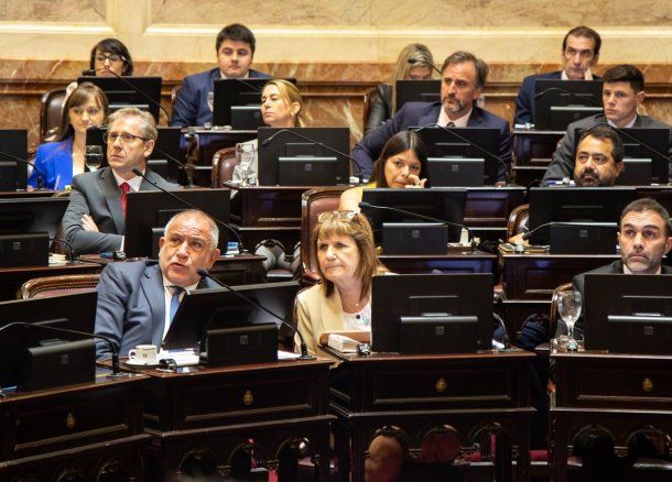 Patricia Bullrich en el Senado.