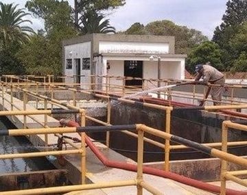 Alarma por una nube tóxica