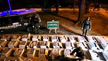 viernes santo insalubre: detectan una tonelada de pescado camuflado entre cajones de verdura viernes santo insalubre: detectan una tonelada de pescado camuflado entre cajones de verdura