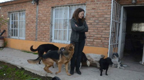 Habló la dueña de los perros que se matan entre sí: Amo a los animales