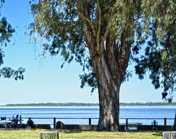 Los cinco lugares cerca de Buenos Aires para aprovechar a conocer el fin de semana
