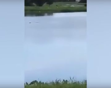 Grabaron cómo un hombre moria ahogado y no lo ayudaron&nbsp;