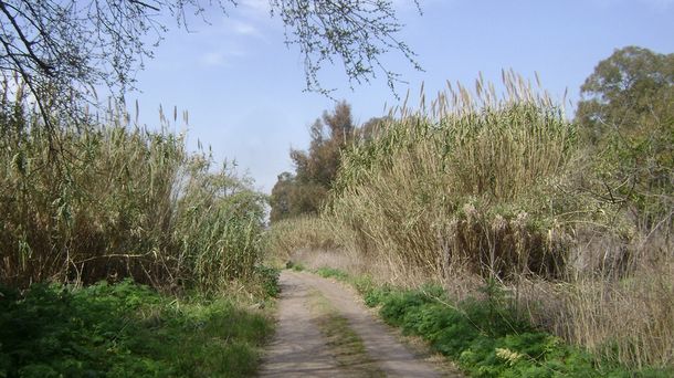 Misterio por el cadáver hallado durante la búsqueda de Anahí Benítez