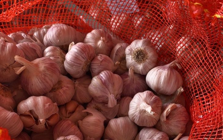 Aduana denunció a empresa que exportó 700 toneladas de ajo sin ningún empleado