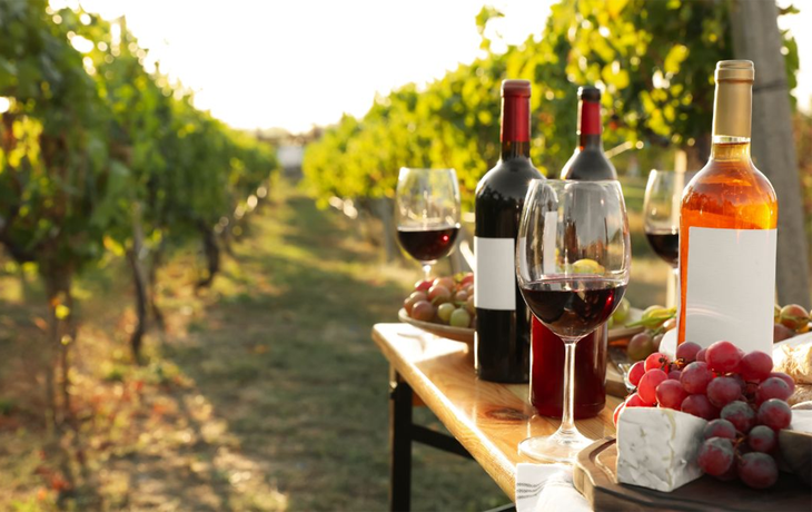 Cómo guardar el vino para que no se eche a perder
