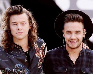 Harry Styles y Liam Payne, en pleno éxito de One Direction.