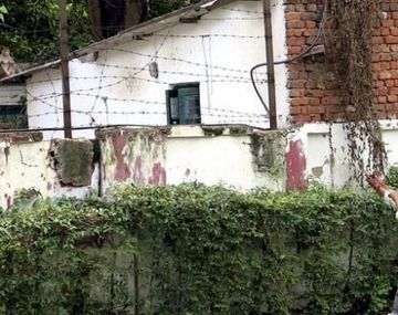 Éstos son los hombres mono de Nueva Delhi