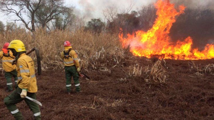 Incendios forestales 