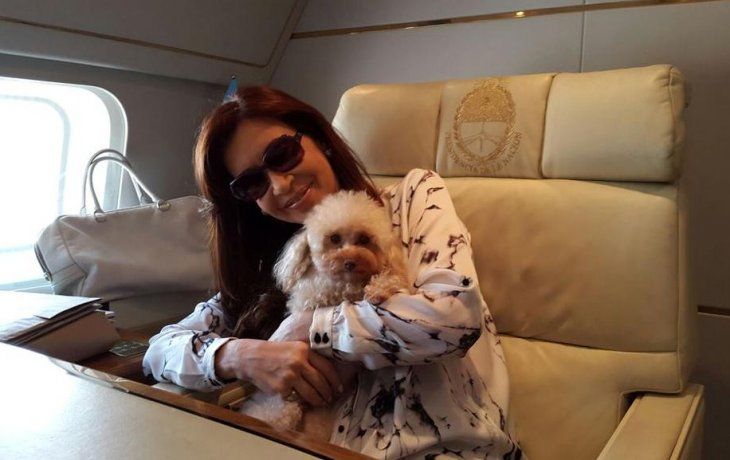 El tierno video de Cristina Kirchner con unos perros buscando convencer a Néstor para quedárselos