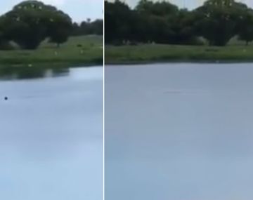 Le gritaron y lo insultaron, pero no lo ayudaron