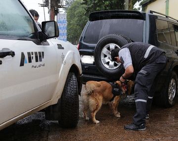Secuestran 150 kilos de droga cerca de Posadas