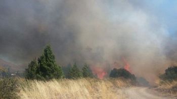 Gentileza Agencia de Noticias Bariloche. Gentileza Agencia de Noticias Bariloche.