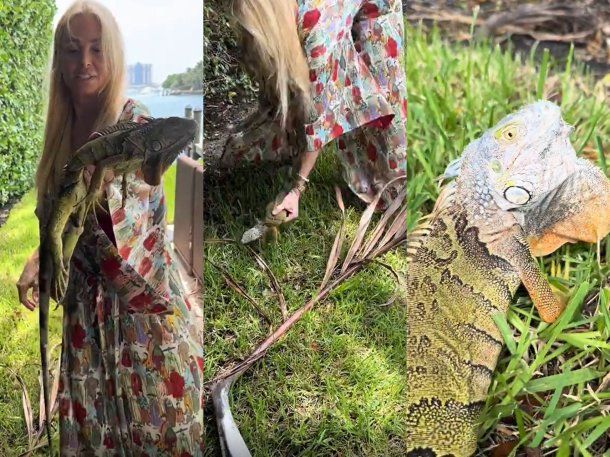 Susana Giménez y su hija protagonizaron un desopilante video con una iguana