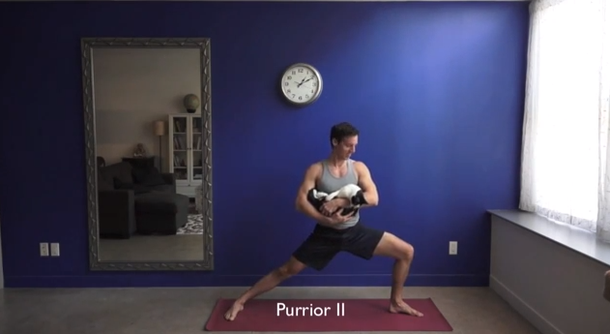 VIDEO: Un profesor enseña a hacer posiciones de yoga con un gato