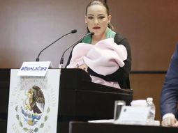 Misógina crítica en el Parlamento contra una senadora que amamantaba a su hija