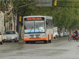 robo, huyo y lo atropellaron