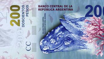 el insolito error en la ballena del nuevo billete de 200 pesos el insolito error en la ballena del nuevo billete de 200 pesos
