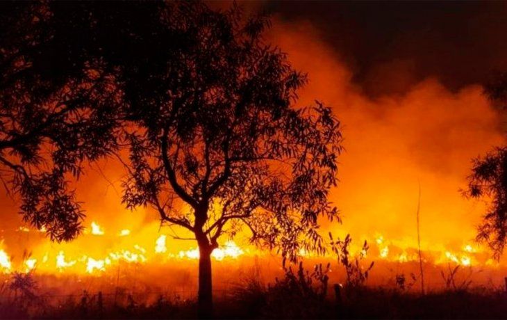 Los incendios en Corrientes alcanzaron el ingreso a los Esteros del Iberá
