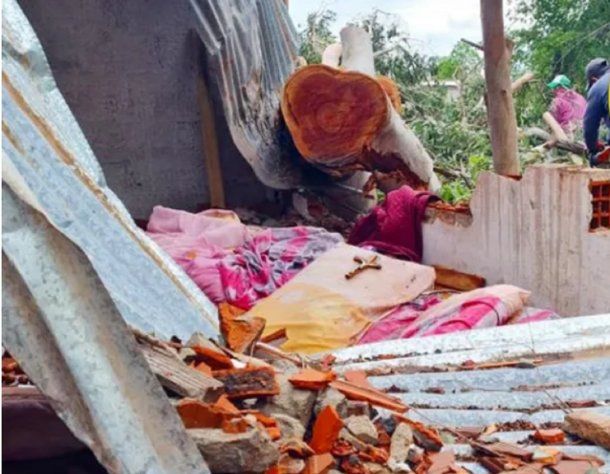 Corrientes: una joven de 19 años murió aplastada por un árbol en medio de una tormenta