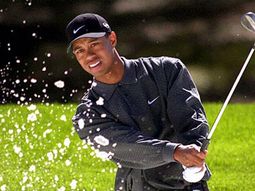 Tiger woods