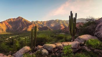 Semana Santa 2026 en Salta: cuáles son los destinos más elegidos por menos de US$1000 Semana Santa 2026 en Salta: cuáles son los destinos más elegidos por menos de US$1000