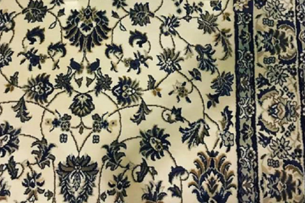 ¿Podés encontrar el celular escondido en esta imagen?