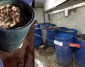 Ratas y olores: secuestran 22 toneladas de carne contaminada en un frigorífico de Flores