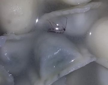 Encontraron insectos en ravioles de La Castellana - Crédito: Laura Carol