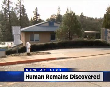 Compró depósito y halló 2 cuerpos de bebés