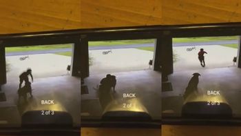 un chico se metia en la casa de su vecina solo para abrazar a su perra un chico se metia en la casa de su vecina solo para abrazar a su perra