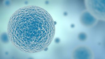 cientificos logran un avance clave para crear nuevos organos cientificos logran un avance clave para crear nuevos organos