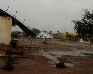 Crédito: @MildreBelen1