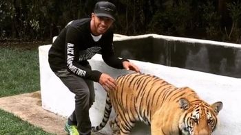lewis hamilton demostro que no le teme a nada, asusto a un tigre y sobrevivio lewis hamilton demostro que no le teme a nada, asusto a un tigre y sobrevivio
