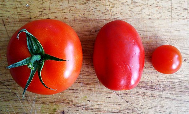 La verdura que es un escudo para tu salud y no lo sabías: cuida tu corazón y refuerza tu cuerpo