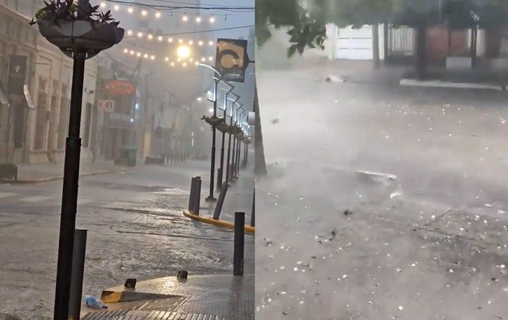 Temporal en Córdoba: arboles y postes caídos, voladuras de techos y cortes de luz