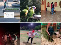 Memes y versiones de uno de los virales más usados: quiero sentir tu cuerpo juntito al mío...