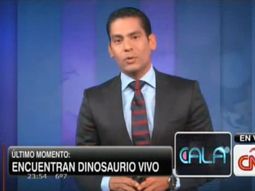 cnn se rie de susana gimenez por los dinosaurios vivos cnn se rie de susana gimenez por los dinosaurios vivos