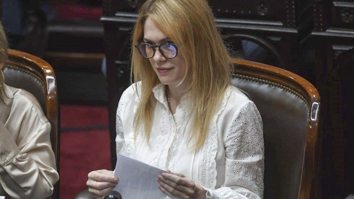 Una diputada de La Libertad Avanza destrozó a su compañera Lilia Lemoine: "Nada en este espacio es normal"