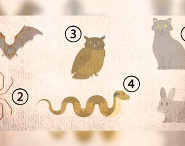 El test viral que define tu verdadera esencia según el animal que elijas