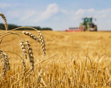 El Gobierno restableció en un 33% las retenciones a la harina y el aceite de soja y creó un fondo para estabilizar al trigo