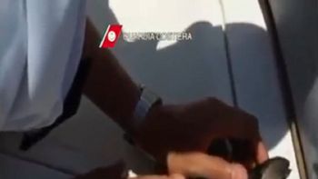 video: salvan a un gatito con respiracion boca a boca video: salvan a un gatito con respiracion boca a boca