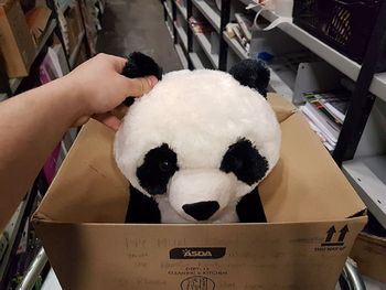 La conmovedora carta de un nene que quería un panda de peluche