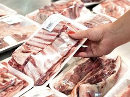 El Gobierno acordó baja de precios del asado, el vacío y el matambre