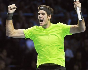 Del Potro superó a Roger Federer