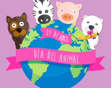 El Día del Animal se celebra en Argentina, pero el amor por las mascotas es universal.
