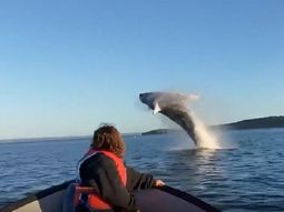 El espectacular saludo de dos ballenas