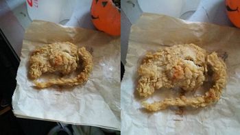le sirvieron rata por pollo en un local de comidas rapidas le sirvieron rata por pollo en un local de comidas rapidas